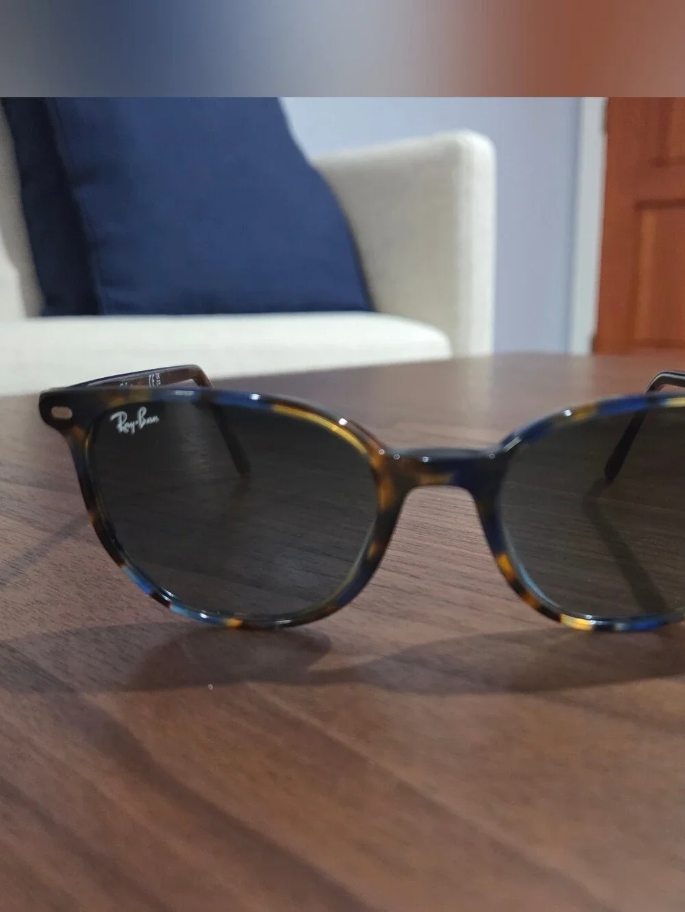 Ray-Ban ELLIOT Sunglasses 🕶️
